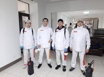 Дезинфекция от всех насекомых безопасно, без запаха, с гарантией.