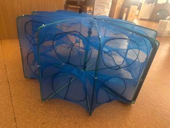 Малевница-мордушка