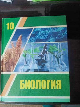 Учебник
