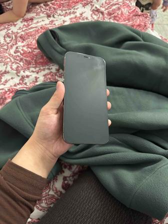 iPhone 12 Pro Max 128gb