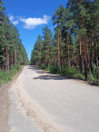 Бухгалтер
