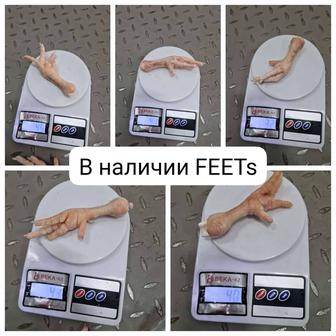 Куриные лапки PAWs и FEETs