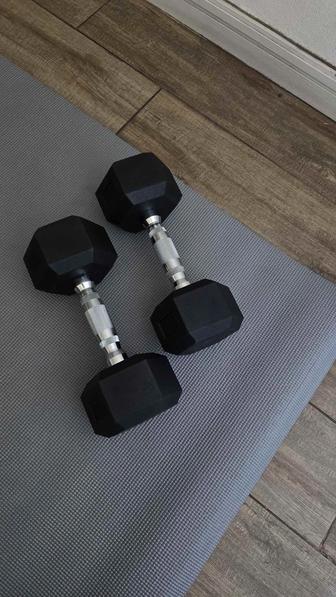 Гантели KETTLER