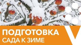 Обрезка роз, винограда ,деревьев