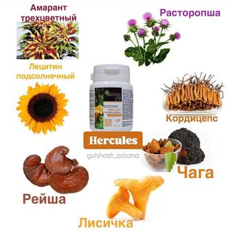 Бады для всех