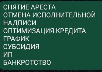 Снятие ареста.отмена исполнительной надписи.графики. оптимизация кредита