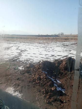 Шкурка жасау