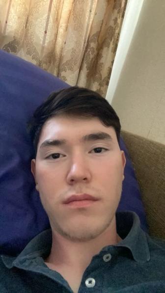 Аниматор