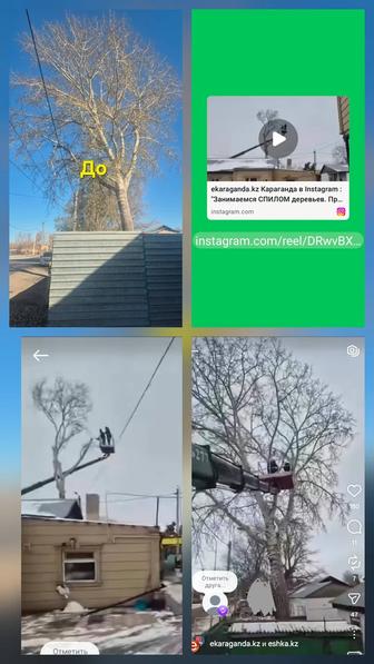 СПИЛ деревьев, подрезка в любой сложности,формовка кубик-шарик