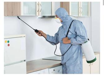 Дезинсекция любых помещений