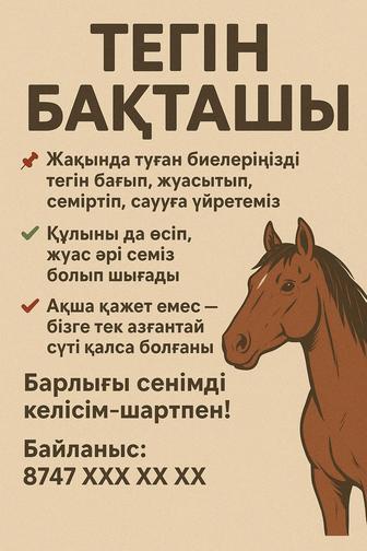Тегін бақташы бесплатный постух