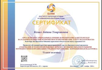 Репетитор для особенных детей