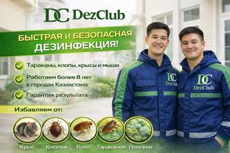 Дезинфекция, дезинсекция и дератизация крыс, мышей, клопов, тараканов, блох