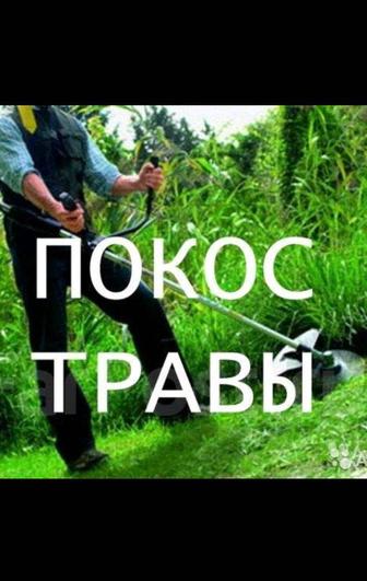 Покос травы