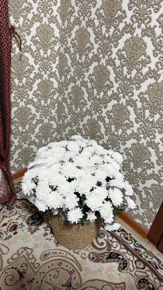 Цветок на корзинке