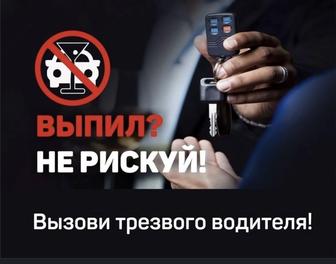 Трезвый водитель