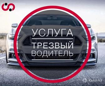 Трезвый водитель