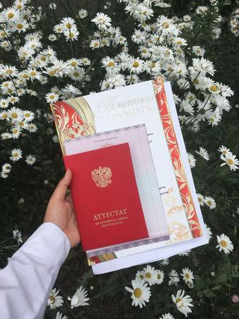 медицина!иэссе, рефераты студентом ,помощь с экзаменами,работу школьникам,.