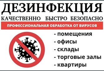 Дезинфекция