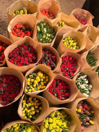 Тюльпаны в розницу