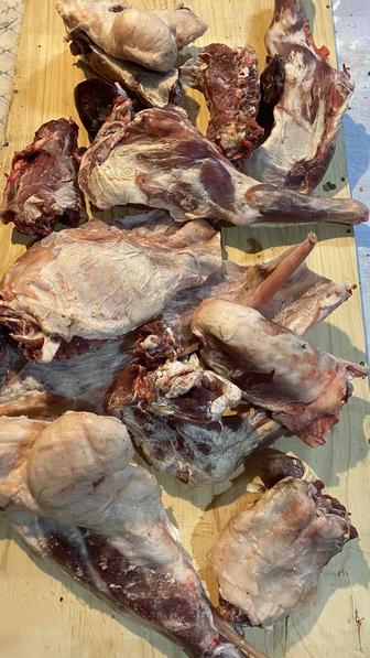 Продам барана