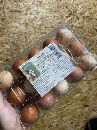 Фермерские яйца .Продажа яиц только коробками .