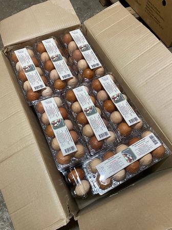 Фермерские яйца .Продажа яиц только коробками .
