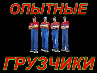 Грузчики Разгрузка Выгрузка фур, вагонов