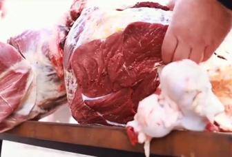 Молодое мясо верблюжатина Жас Туйе Еты