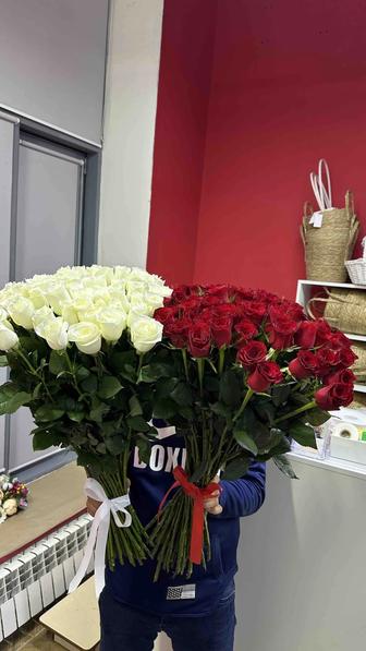 Розы белые и красные Голландские