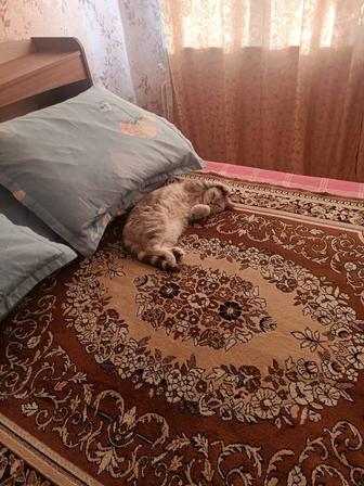 Продам двухспальная кровать