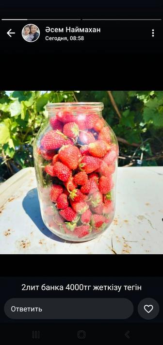 Клубника дачная