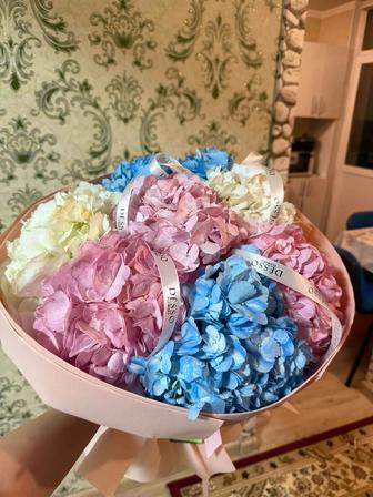 Продается цветы гортензия