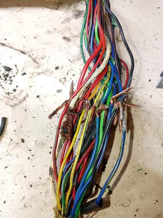 Автоэлектрик