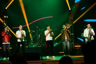 Brasswood Музыкальный коллектив, live band