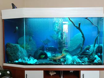 Переезд/транспортировка аквариума