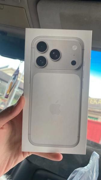 17 про silver 256