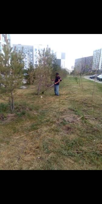 Покос травы триммером или мотокосой