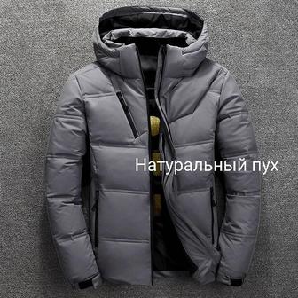 Куртка серая. Распродажа