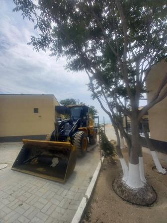 Пагрушик фронталны