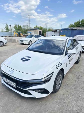 Сдается в аренду Hyundai Elantra