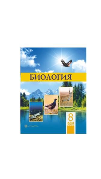 Книга