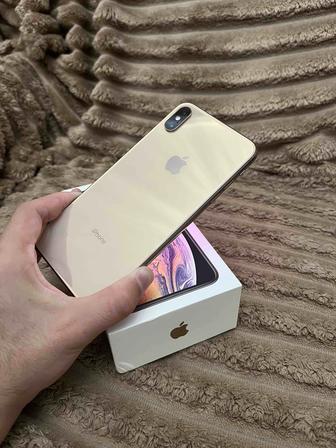 iPhone XS Max 256gb 100%