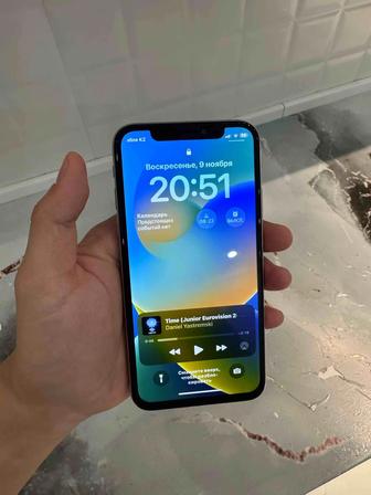 iPhone X 256 gb 100%