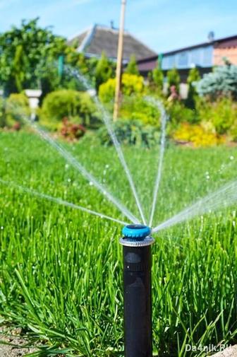 Укладка газона под ключ!