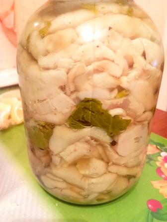 Продам грибы грузди за литр ,и валуй за литр