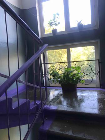 Уборка подъездов,квартир,домов