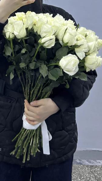 Продам букет из 51 белой розы!!