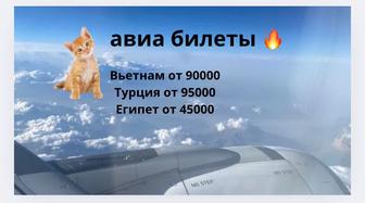Путешествие туры, Авиа билеты
