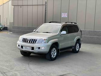 Арена авто услуги трансфера